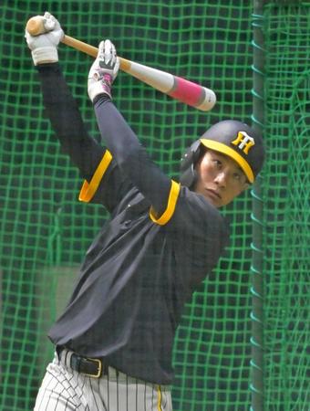 　フリー打撃をして打ち込む木浪（撮影・立川洋一郎）