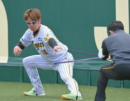 　トレーニングをする西勇（撮影・立川洋一郎）