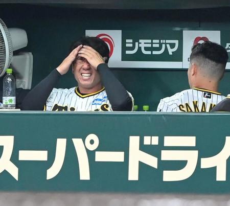　サンタナにソロを浴びた７回を投げ終え、ベンチで悔しがる村上（左）＝甲子園（撮影・高部洋祐）