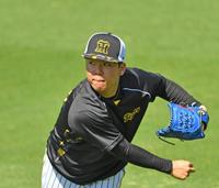 キャッチボールをする村上＝甲子園（撮影・中田匡峻）