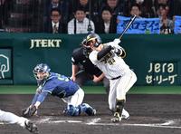 　７回、空振り三振に倒れる原口＝甲子園（撮影・中田匡峻）