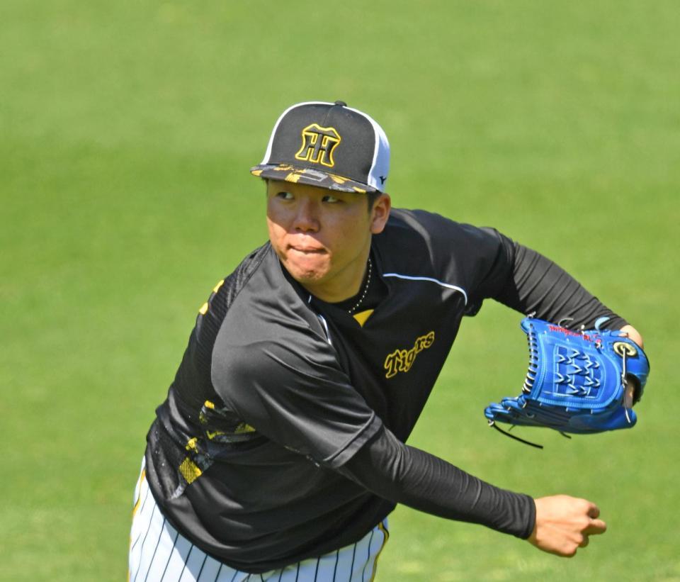 キャッチボールをする村上＝甲子園（撮影・中田匡峻）