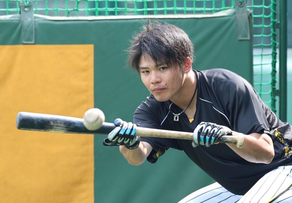 　バント練習する小野寺（撮影・山口登）