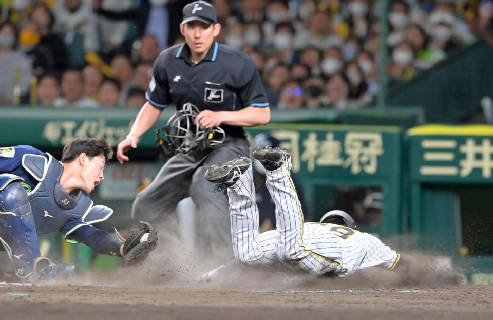 　８回、代打・糸原の遊ゴロで本塁へ突入し勝ち越し点を奪う三走・小幡。左は捕手・内山（撮影・立川洋一郎）