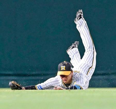 　３回、桑原の打球を好捕する近本（撮影・高部洋祐）