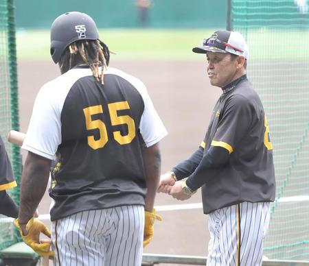 　試合前、ミエセス（左）を打撃指導する岡田監督（撮影・高部洋祐）