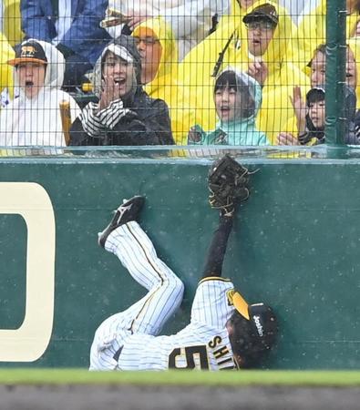 　７回、桑原の打球を好捕しフェンスに激突する島田（撮影・高部洋祐）