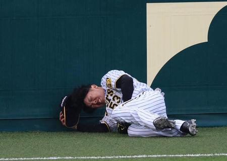 　７回、桑原の飛球をフェンスに激突しながらも好捕する島田（撮影・山口登）