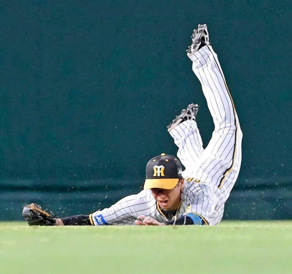 　３回、桑原の打球を好捕する近本（撮影・高部洋祐）