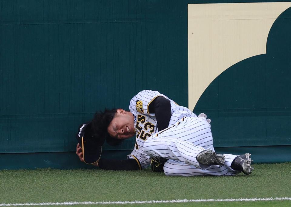 　７回、桑原の飛球をフェンスに激突しながらも好捕する島田（撮影・山口登）