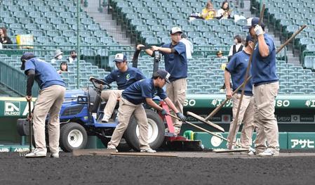 　試合前、グラウンド整備する阪神園芸のスタッフ（撮影・高部洋祐）