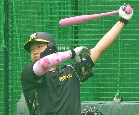 　試合前、ピンクのバットとアームバンドで打撃練習に励む大山（撮影・高部洋祐）