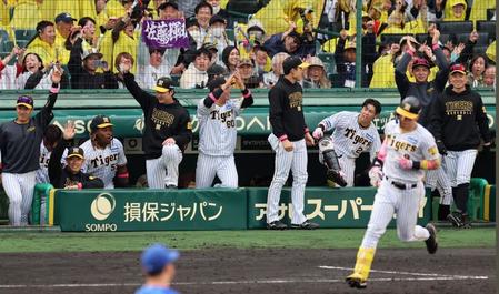 　４回、佐藤輝の満塁弾に盛り上がる阪神ナイン（撮影・山口登）
