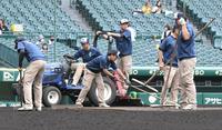 　試合前、グラウンド整備する阪神園芸のスタッフ（撮影・高部洋祐）