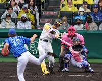 　４回、右越えに満塁本塁打を放つ佐藤輝（撮影・山口登）