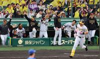 　４回、佐藤輝の満塁弾に盛り上がる阪神ナイン（撮影・山口登）