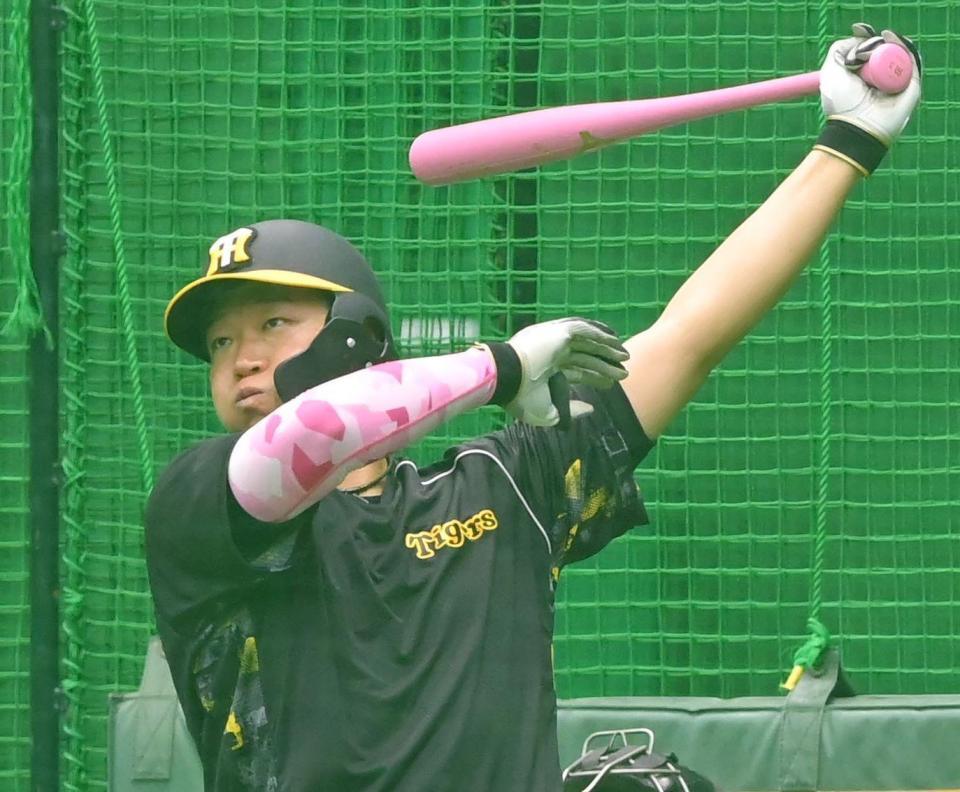 　試合前、ピンクのバットとアームバンドで打撃練習に励む大山（撮影・高部洋祐）