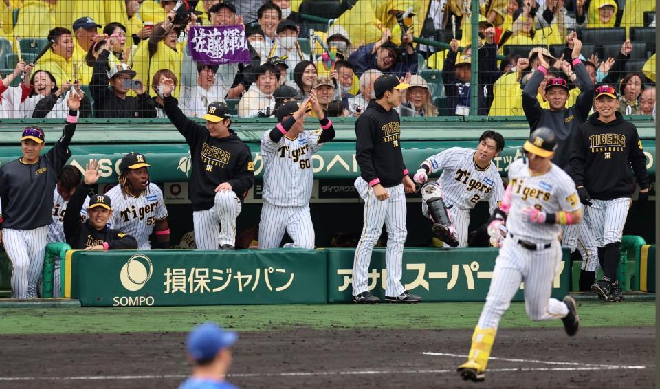 　４回、佐藤輝の満塁弾に盛り上がる阪神ナイン（撮影・山口登）