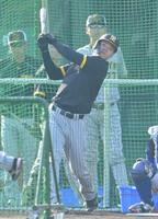 　試合前、フリー打撃で快音を響かせる佐藤輝（撮影・高部洋祐）