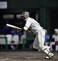 　５回、左前に適時打を放つ大山（撮影・中田匡峻）