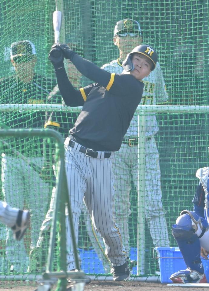 　試合前、フリー打撃で快音を響かせる佐藤輝（撮影・高部洋祐）