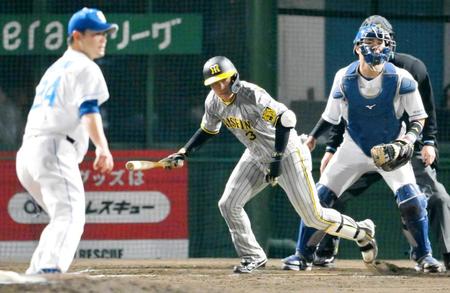 　５回、福谷（左）から適時打を放つ大山（撮影・高部洋祐）