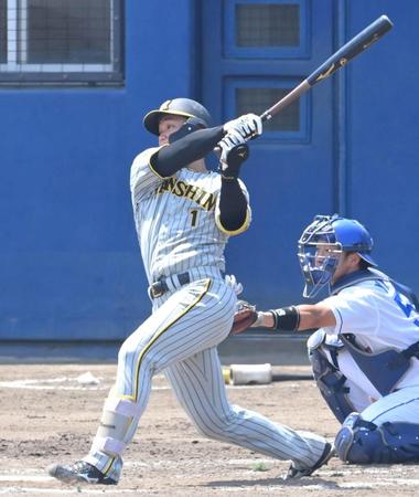 　２回、３ランを放つ森下（撮影・高部洋祐）