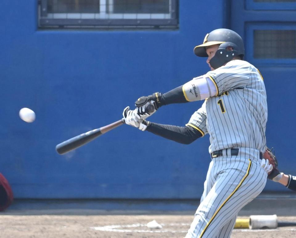 　２回、３ランを放つ森下（撮影・高部洋祐）