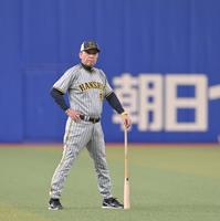 　練習を見守る岡田監督（撮影・立川洋一郎）