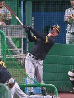 　試合前、フリー打撃で快音を響かせる佐藤輝（撮影・高部洋祐）