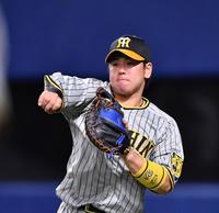 　キャッチボールをする梅野（撮影・中田匡峻）