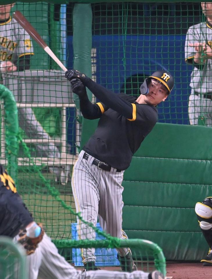 　試合前、フリー打撃で快音を響かせる佐藤輝（撮影・高部洋祐）