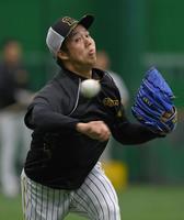 試合前、キャッチボールする青柳（撮影・高部洋祐）