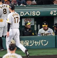 ５回、ベンチで冴えない表情の岡田監督（左は青柳）＝撮影・山口登