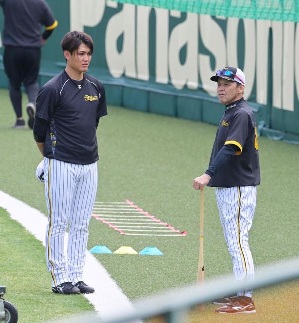 【写真】阪神・西純矢　岡田監督から“青空対談”５分間の助言受ける