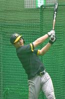 　試合前、フリー打撃で快音を響かせる森下（球団提供）