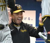 　８回、近本が勝ち越しのソロを放ちベンチで喜ぶ岡田監督（撮影・堀内翔）