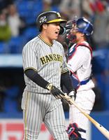　延長１０回、勝ち越しの押し出し四球を選び、雄たけびを上げる大山（撮影・高部洋祐）