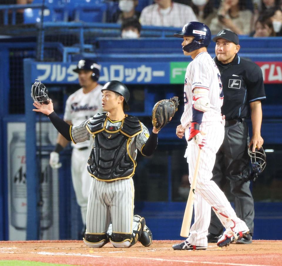 　８回、塩見（右）の時に加治屋がボークをとられ、両手を広げて不思議がる坂本（撮影・吉澤敬太）