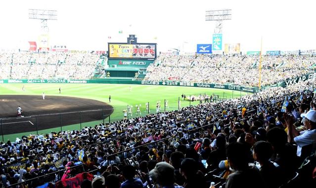 阪神が12球団最速で観客動員100万人突破！虎の快進撃にファンも熱狂