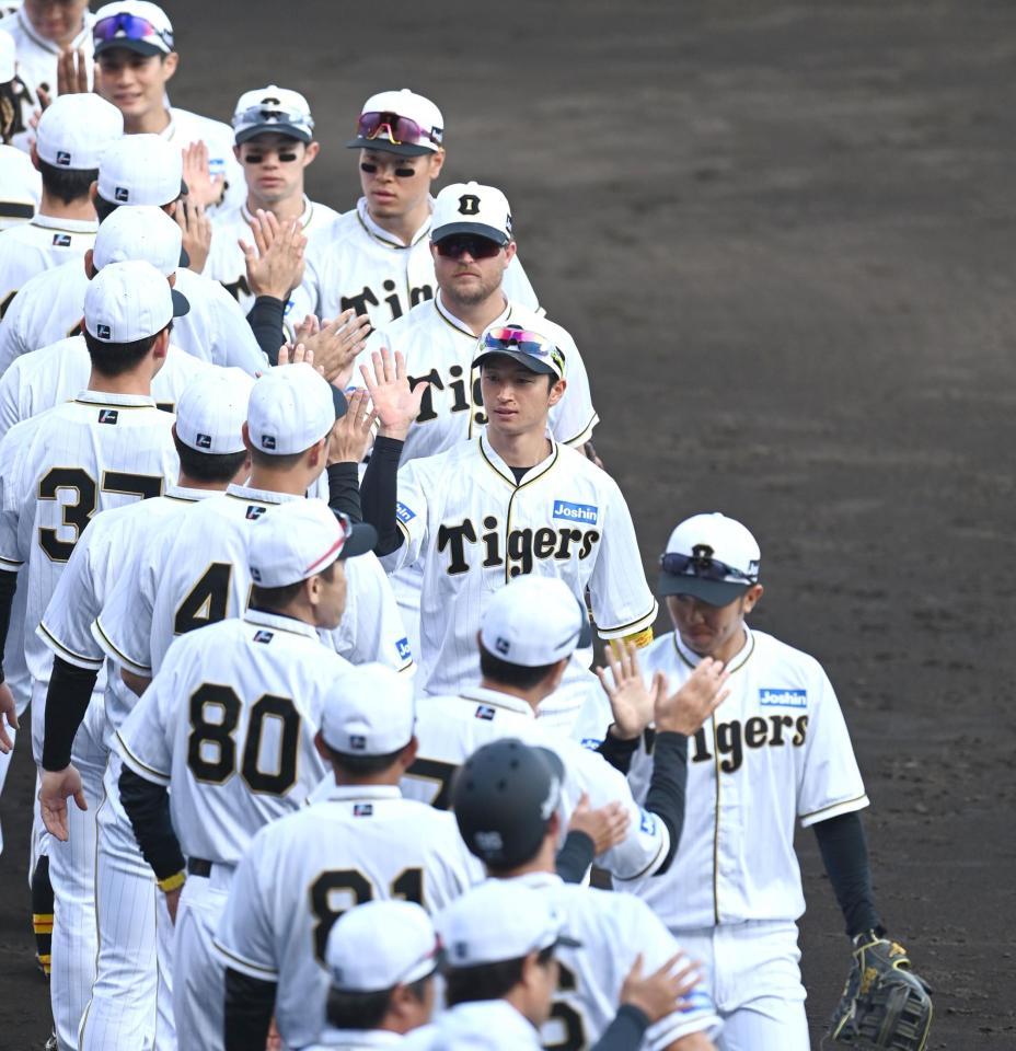 勝利のハイタッチをかわす阪神ナイン（撮影・飯室逸平）