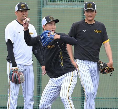 　試合前、ノックを受ける青柳（中央）＝撮影・高部洋祐