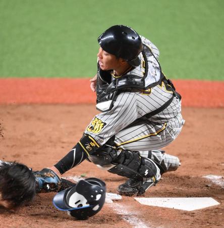 　７回、三走の鈴木をタッチアウトにする梅野（撮影・堀内翔）