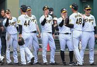 　中日に快勝し、ナインとタッチを交わす青柳（中央）＝撮影・高部洋祐