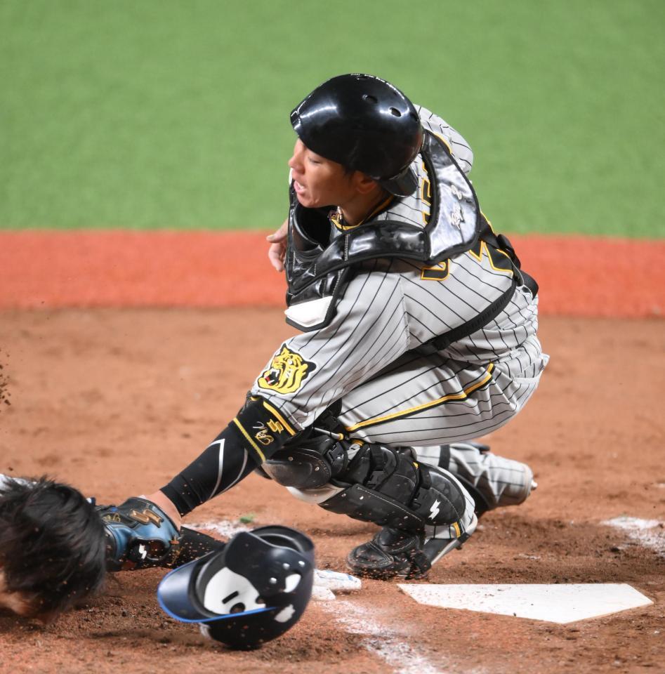 　７回、三走の鈴木をタッチアウトにする梅野（撮影・堀内翔）