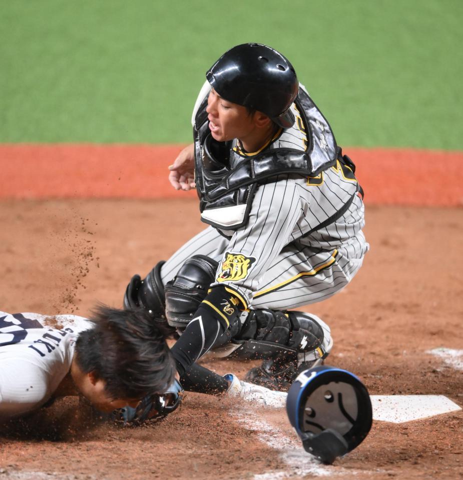 　７回、三走の鈴木をタッチアウトにする梅野（撮影・堀内翔）