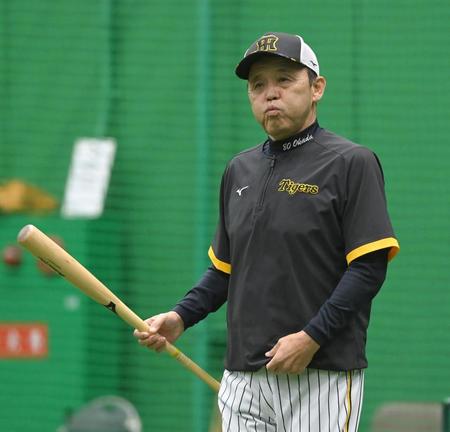 　練習を見守る岡田監督（撮影・高部洋祐）