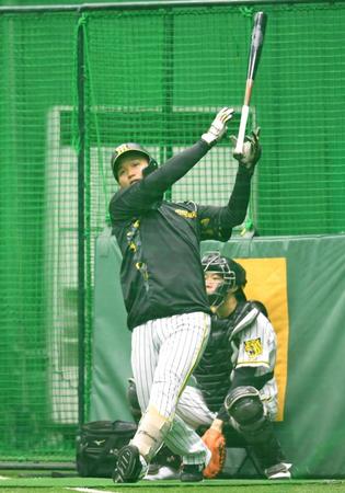 　打撃練習で快音を響かせる森下（撮影・北村雅宏）