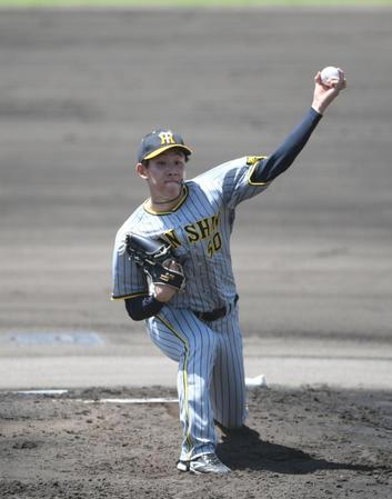 　先発し力投する富田（撮影・石井剣太郎）