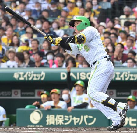 　７回、ソロを放つ梅野（撮影・高部洋祐）